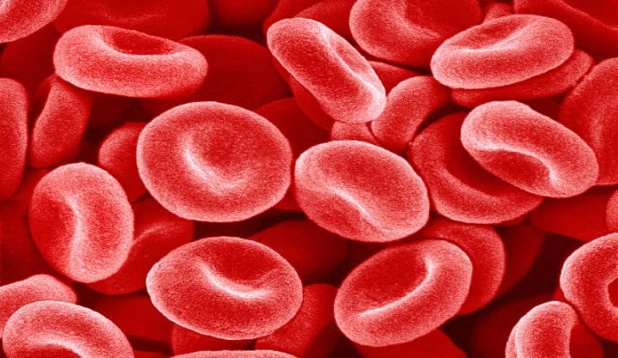 Recently, the European Hematology Association released clinical trial research with implications for using CRISPR treatment for pediatric sickle cell disease. 