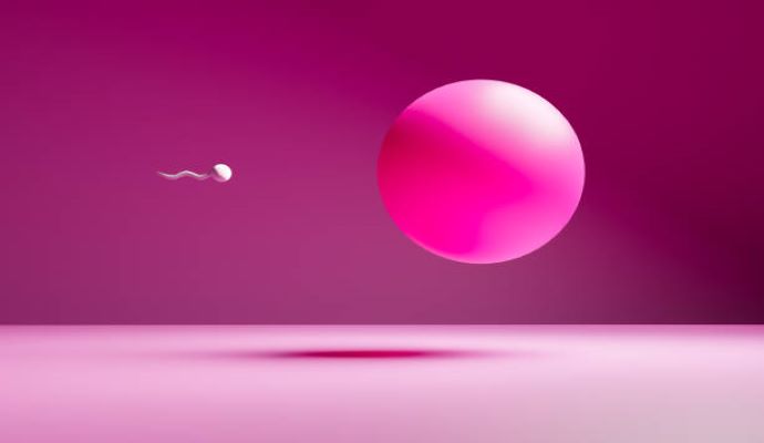 In a review and meta-analysis published in Human Reproductive Update, researchers found that the global average sperm count dropped 51.6% between 1973 and 2018. 